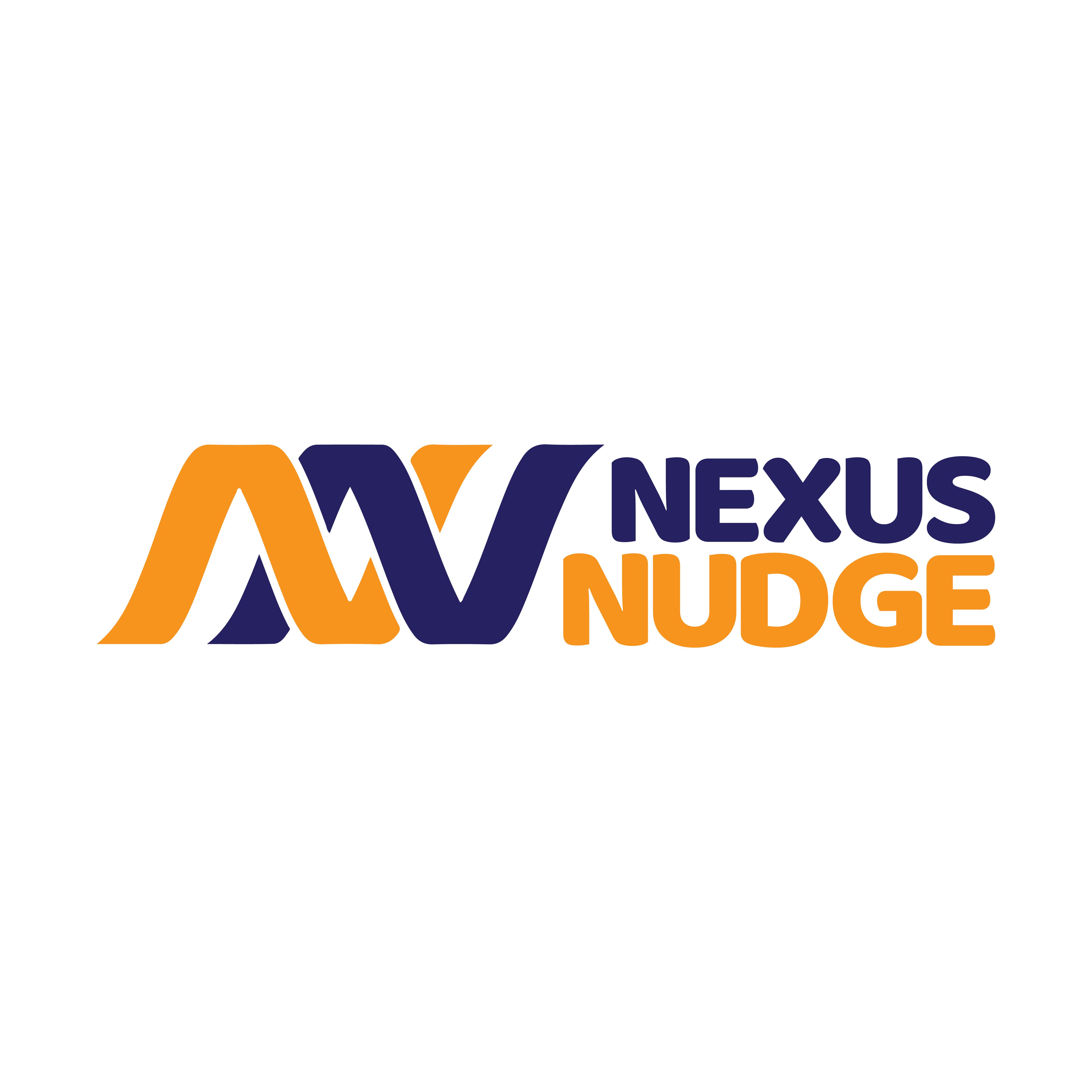 Nexus Nudge Logo