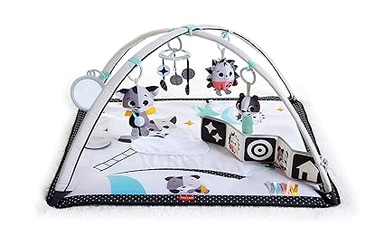 Gymini Infant Activity Playmat